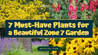 7 Must Have Plants for a Beautiful Zone 7 Garden 🌻🌸🌷 // Gardening