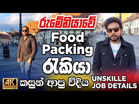 Desires Unveiled: Employee Experiences in Romanian Food Packaging Industry|වැඩ කරන අයගේ අත්දැකිම් 🤔