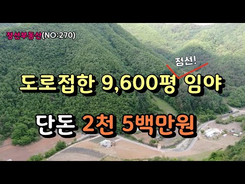 (계약완료)도로 접한 9,600평 정선임야 단돈 2천 5백만원 / 정선토지박사