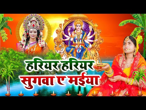 Live - कवना बने बोले कोयलिया |#DeviPachra | Kawna Bane Bole Koyaliya |#BhaktiGaana #sunita lokgeet