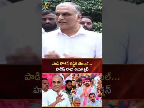 పాడి కౌశిక్ రెడ్డికి బెయిల్... హరీష్ రావు రియాక్షన్ | #HarishRao | #PadiKaushikReddy | #YTShorts