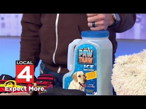 Tips for keeping your pets safe during the winter