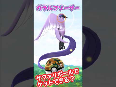 【ポケモンGO】ガラルフリーザーはサファリボールで簡単にゲットできる！？　#ポケモン #Pokémon #PokémonGO #ポケモンGO #ポケgo #shorts