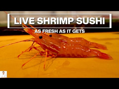 LIVE SHRIMP SUSHI! So Fresh It's Moving...