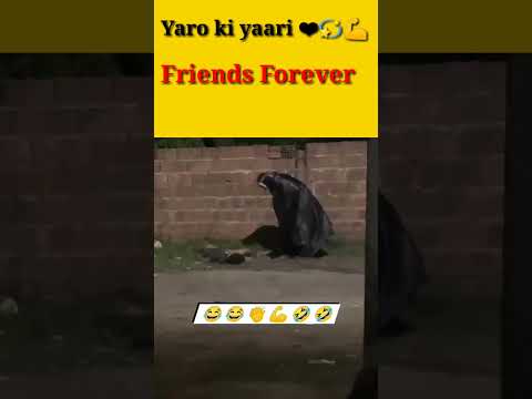 Yaro ki yaari ❤️💫💪|| Aisa Dost Sabko de #viral #dosti #short #shorts #friends #friendship #trending