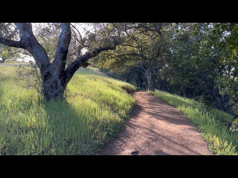 [4KHDR]  Rancho San Antonio: High Meadow Trail