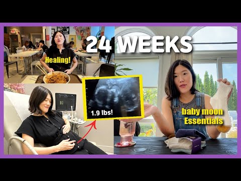 24 Weeks Pregnancy Vlog l Healing after rough weeks, Baby Kicks, Baby Moon Essentials, Birth Plans?