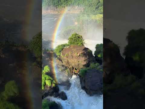 Rainbows, coaties & monkey at Iguazu Falls!