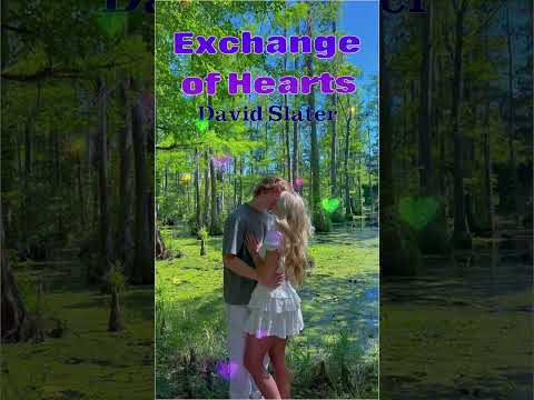 EXCHANGE OF HEARTS DAVID SLATOR #lovesong #love #romantic #lovesong80s90s  #shorts