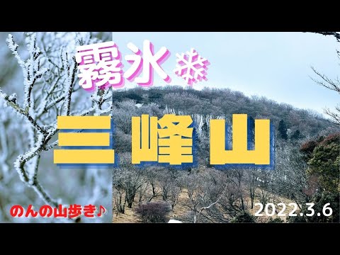 【雪山登山】三峰山に登って霧氷を楽しみました♪