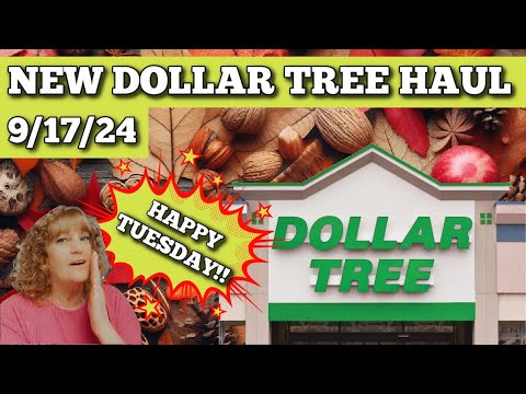 NEW DOLLAR TREE HAUL 9/17/24