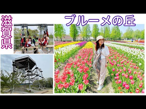 滋賀農業公園ブルーメの丘（一天遊）