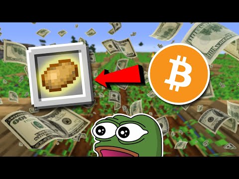 So We Made A Crypto Currency In Our Minecraft SMP...