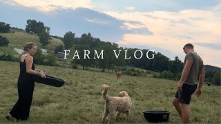 Productive Day on the Farm VLOG 🍪 🐄 chocolate chip cookies, more cows, honeybees!