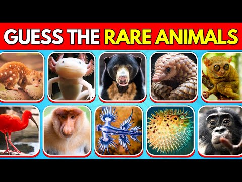 Guess 50 Rare Animals 🤔 - IMPOSSIBLE Level 🚨 | Guess The Animal Challenge