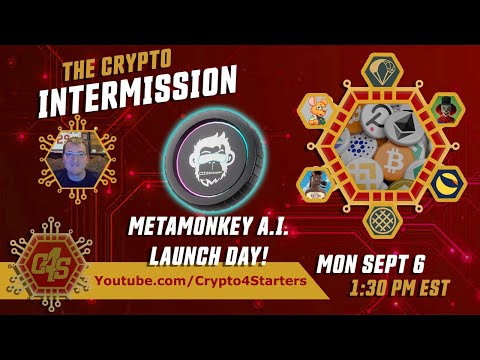 #METAMONKEY AI LAUNCH DAY! LETS TALK CRYPTO AND WATCH THE LAUNCH!