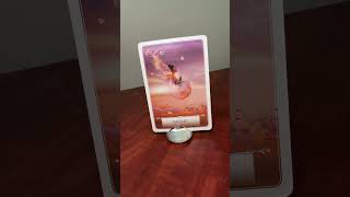 #432 Pisces - Wisdom of the Oracle Message, Blessed Rvsd