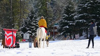 Winter Wonderland: Exploring Shogran After the First Snowfall | winter tour to shogran