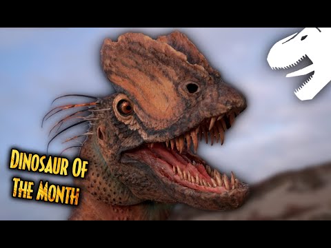 The New Dilophosaurus | Dinosaur Of The Month