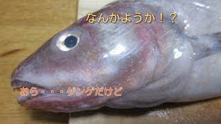 深海魚ゲンゲのあっさり醤油鍋初体験！コラーゲンたっぷりでお肌つるつる？　おかげClub