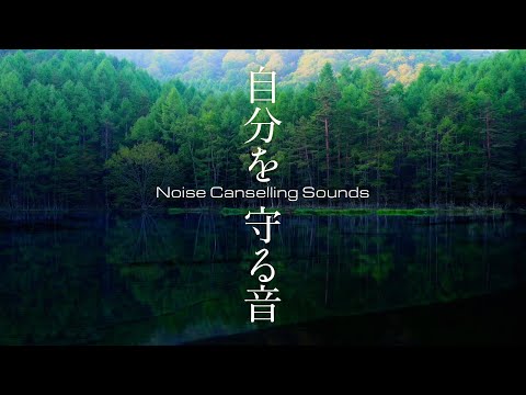 Noise Cancelling sound white noise for studying and sleeping | Sound Masking 8 hours