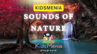 Exploring the Sounds of Nature | Fun & Relaxing Nature Sounds for Kids | @kidmenia