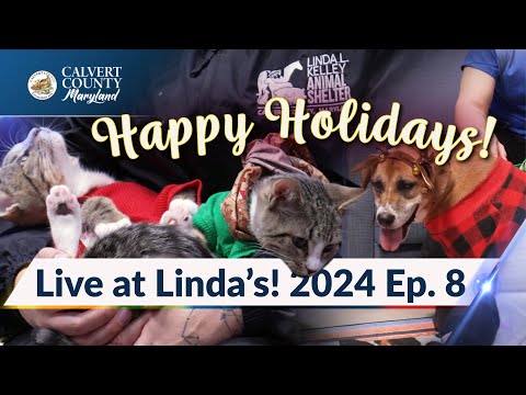 "Live at Linda's" - Animal Shelter Adoption Series - Season 2, Ep. 8 - Calvert County, MD