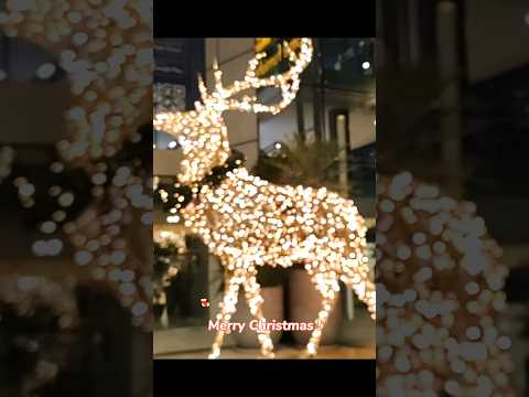 Dubai Festival City Mall Christmas Market