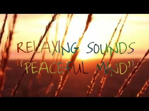 Relaxing Piano Music: Relax, Study, Sleep, Work, Meditate