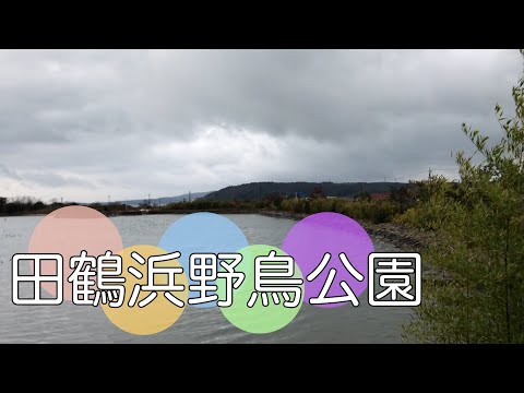 石川・七尾市にある公園【田鶴浜野鳥公園】