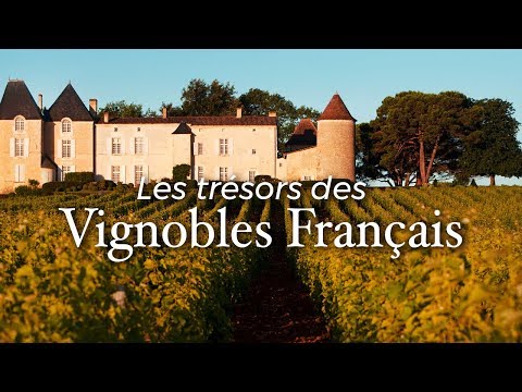 Les trésors des vignobles français | Documentaire