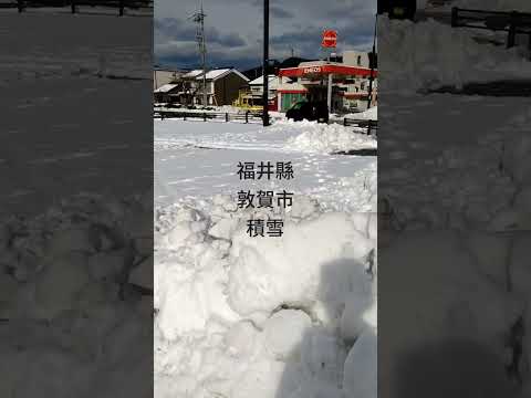 積雪的敦賀市2023.12.24