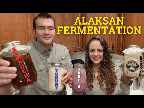 Alaskan Fermentation: Sourdough Bread, Kefir Yogurt, Kombucha, & Homemade Yogurt