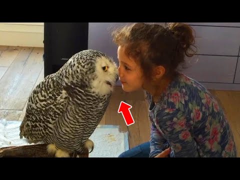 This Owl Couldn't Stop Kissing This Girl, The Reason Behind Will Make You Cry...