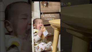 【速報】パンを盗み食いする赤ちゃん、見つかる。 #baby #赤ちゃん #パン泥棒 #パンどろぼう #パン #0歳　　panda.3939pandaさんより！