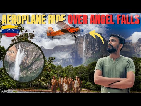 Angel Falls Flight and Jungle Hike: A Journey Like No Other