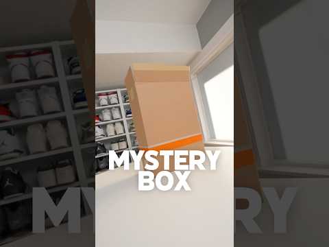 $134 Mystery Sneaker Box…🫣