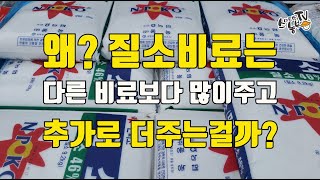 질소비료 주는방법 질소비료 효능과 장단점