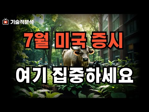 7월 미국 증시 향방은!? 엔비디아 VS 테슬라 전망 ｜이것에 집중하세요!