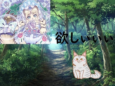 【開封】妖精伝姫の新しいカードが欲しいので 遊戯王SELECTION 10を開封する