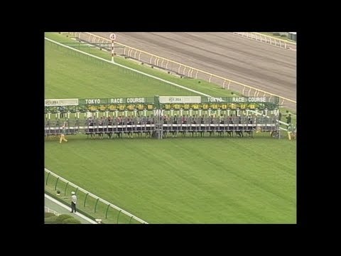 2003年　第64回優駿牝馬(オークス) （スティルインラブ　幸英明）