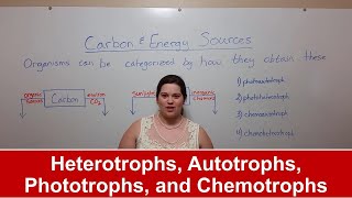 Heterotrophs, Autotrophs, Phototrophs, and Chemotrophs