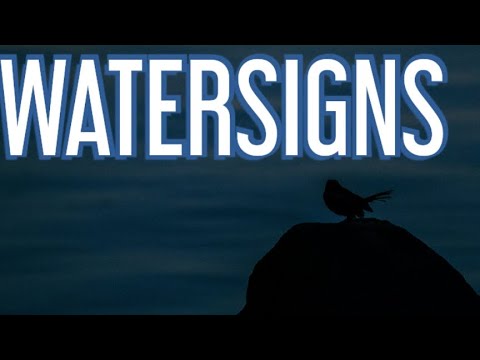 WATERSIGNS-Past person didn't like that U could see through thm which made thm feel too vulnerable.