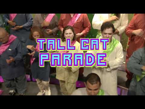 TALL CAT PARADE