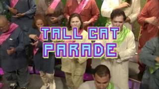 TALL CAT PARADE