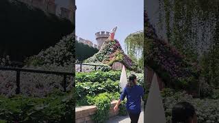 dubai Miracle garden #dubailife #dubaimall #dubaimarina #dubailovers #placestovisitindubai