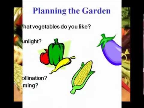 What Vegetables to Plant, When, and How Many