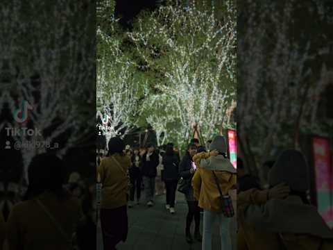 勤美綠園道 2024聖誕節氣氛燈