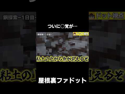 【衝撃映像】ついに○○が見えてしまう…【マイクラ】【ゆっくり実況】【TFC】#shorts  #minecraft #マイクラ #マインクラフト