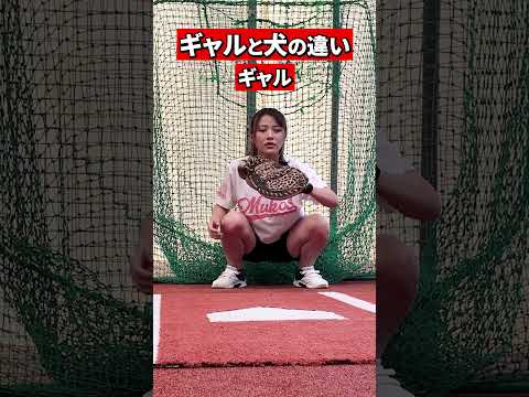 Tokyo gal and Tokyo dog aim for Shohei Otani